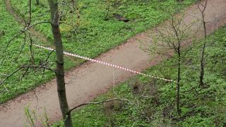 Bărbat dispărut în Botoşani, găsit mort după o lună de căutări, la 6 km de locul unde fusese văzut pentru ultima oară în viaţă