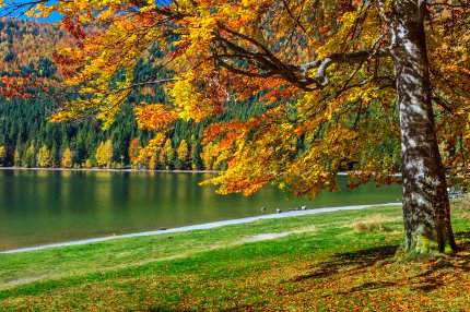 peisaj de toamnă în România la Lacul Sfânta Ana din Transilvania