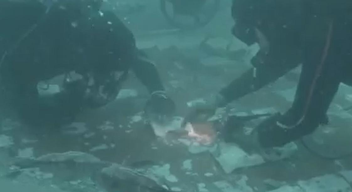 Parte din istorie spaţiului, găsită pe fundul oceanului Atlantic: resturi ale navetei spaţiale Challenger, descoperite de doi scafandri