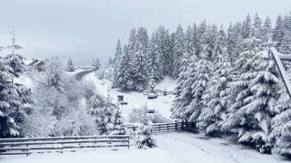 Meteo: Coduri galbene de ploi, viscol și ninsori, în România. ANM a emis noi alerte de vreme severă, până luni seară