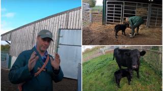 Povestea crescătorului de vaci devenit vedetă pe Youtube. Scoate bani frumoși și de acolo: "Rămâneți sinceri!"