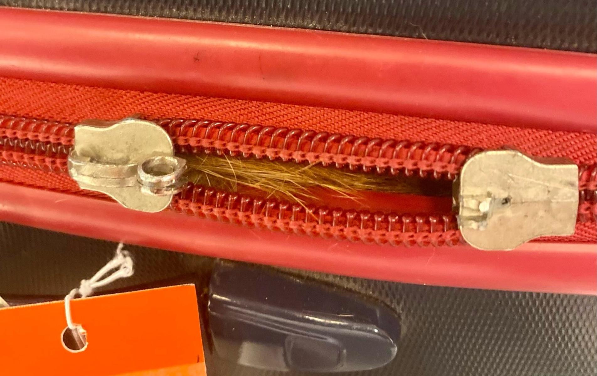 Descoperire bizară în bagajul unui călător, pe aeroportul din New York