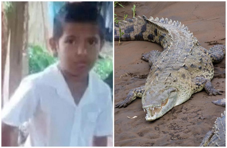 Julio Otero a murit la 8 ani, ucis de crocodil Julio Otero a murit la 8 ani, ucis de crocodil