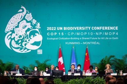 COP15, conferinţa pe teme de mediu organizată la Montreal