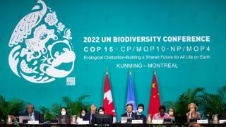 "Pact de pace cu natura". Acord istoric pentru protejarea a 30% din suprafaţa planetei semnat la Montreal
