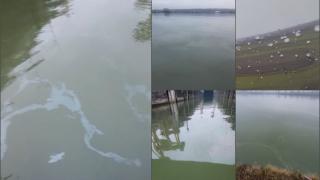 Dunărea poluată cu petrol pe 6 kilometri. Pata se întinde până la ecluza Porțile de Fier I