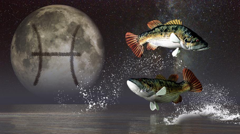 Horoscop Horoscop săptămânal prezentat de Observator