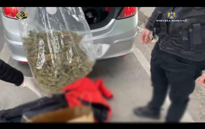 Prinşi cu 1 kg de cannabis în portbagaj, mai mulţi traficanţi de droguri din Prahova au ajuns pe mâna poliţiei