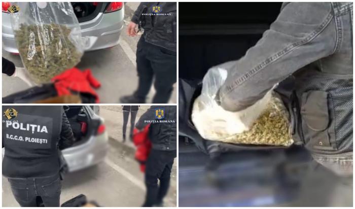 Prinşi cu 1 kg de cannabis în portbagaj, mai mulţi traficanţi de droguri din Prahova au ajuns pe mâna poliţiei