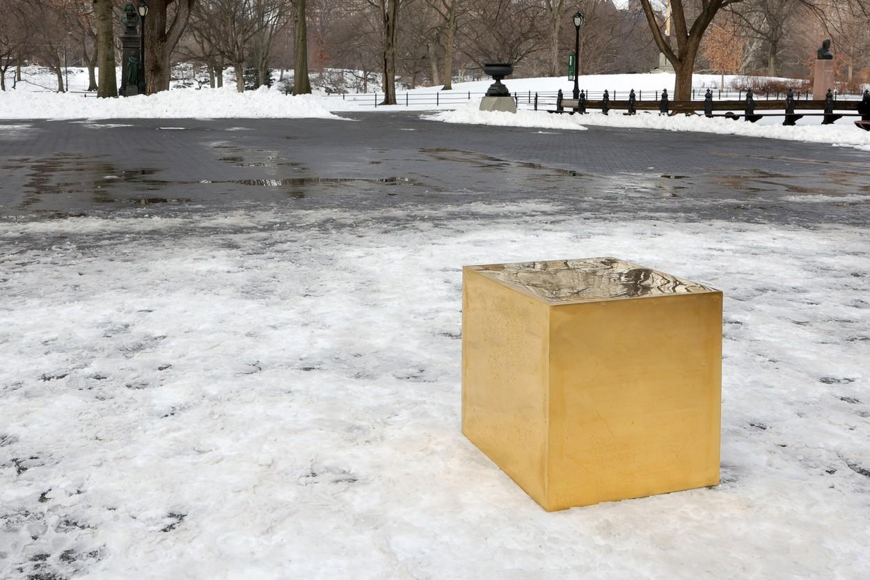 Un cub de aur pur, în valoare de 11,7 milioane de dolari, a apărut într-un parc din New York