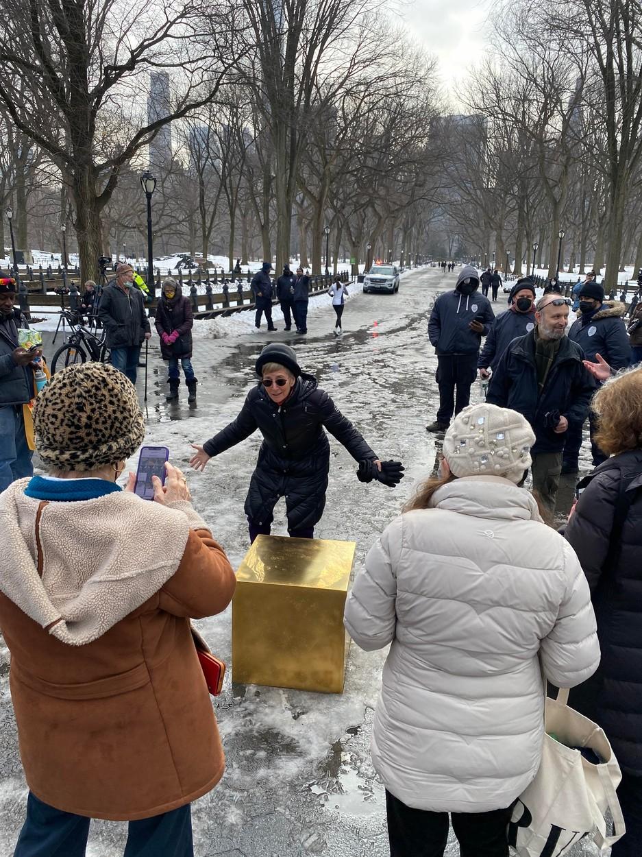 Un cub de aur pur, în valoare de 11,7 milioane de dolari, a apărut într-un parc din New York