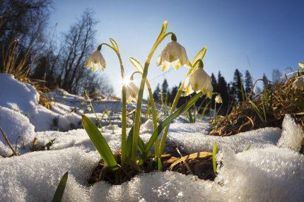 Vremea 7 februarie - 7 martie 2022. Temperaturi de primăvară in ultima lună de iarnă