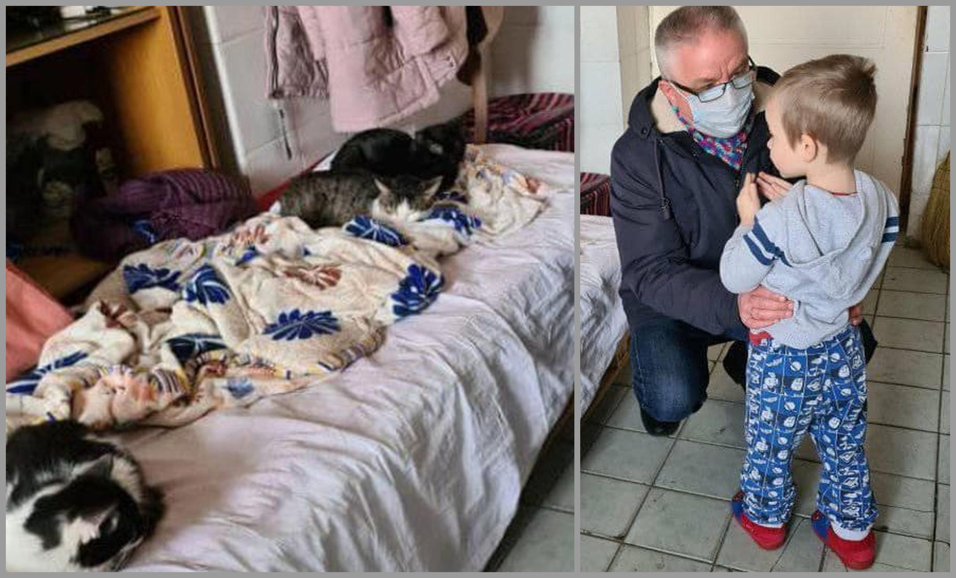 Băiatul Mark doarme alături de cele 11 pisici, într-un refugiu din Republica Moldova