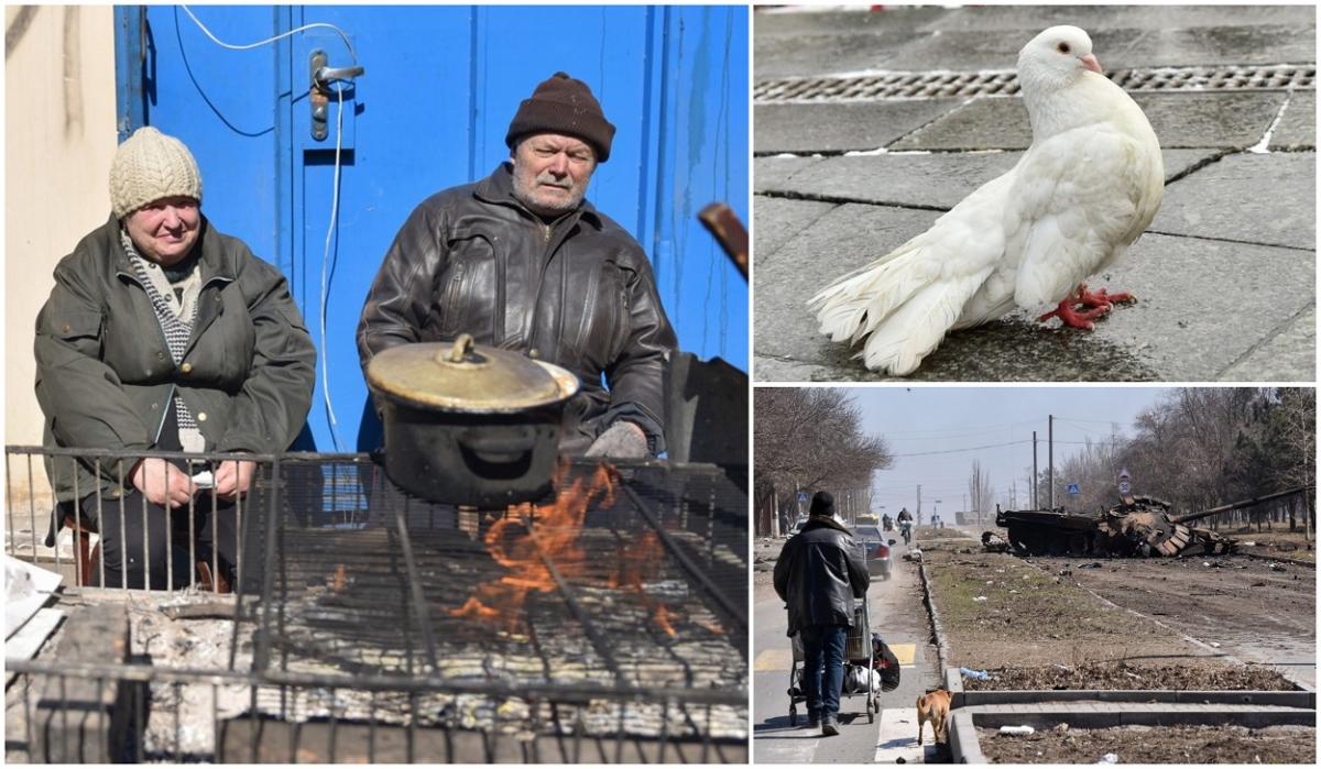 Strâng apa de ploaie și vânează porumbei, pentru a supraviețui. Zeci de mii de oameni, blocați în "iadul" din Mariupol Strâng apa de ploaie și vânează porumbei, pentru a supraviețui. Zeci de mii de oameni, blocați în "iadul" din Mariupol
