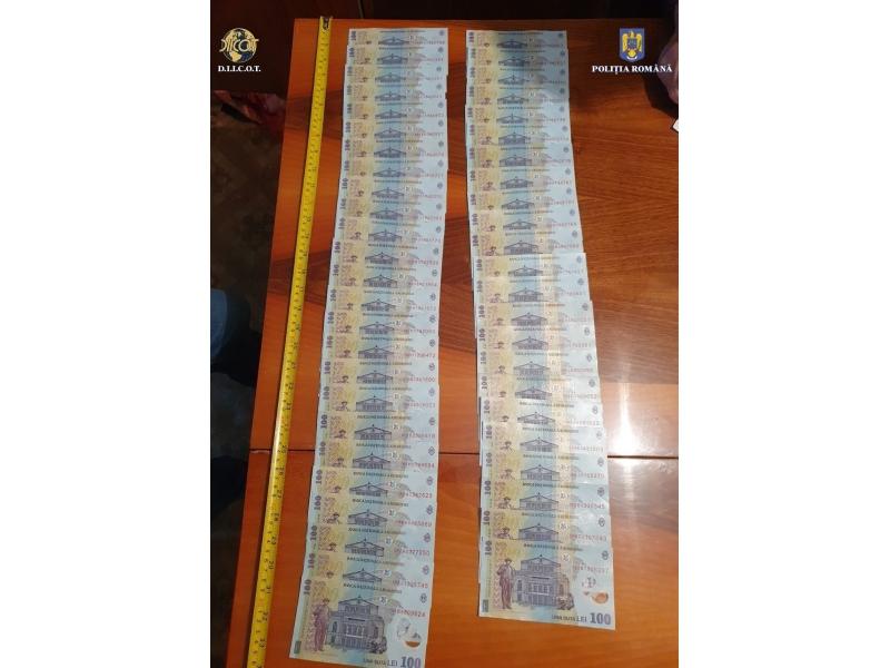 Grup infracţional de români, cercetat pentru exploatarea mai multor conaţionali în Anglia