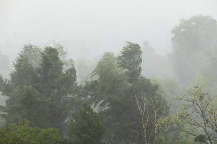 Alertă meteo de vreme severă în România. Ploi torențiale, grindină și vijelii în 12 de județe, până diseară