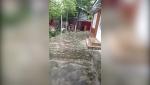 Fenomene meteo extreme în mai multe judeţe din nordul ţării. Grindina a produs pagube