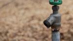 Americanii din California vor folosi apa cu porția, de la 1 iunie. Noile reguli impuse în urma celor mai secetoase luni din istorie