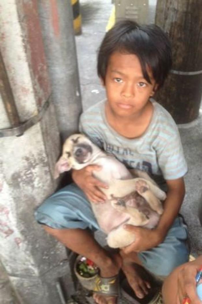 Aruncat în stradă după divorţul părinţilor, un băieţel îşi alină singurul prieten, un căţel vagabond, cu un cântec de leagăn. Imaginile din Filipine au trecut testul timpului