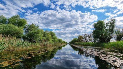 Produs "toxic", nociv pentru Delta Dunării