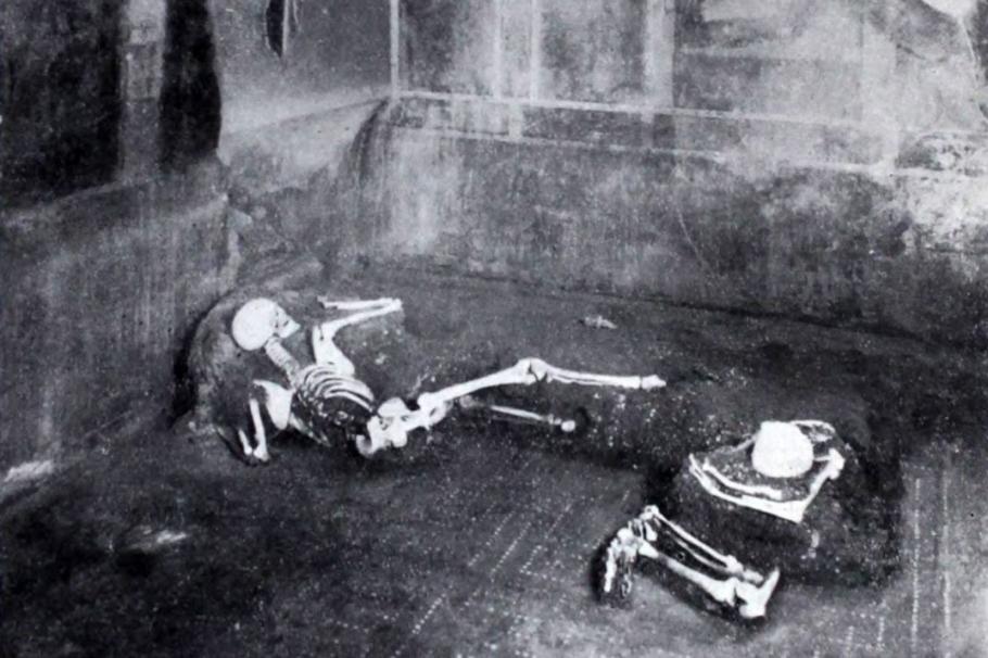 Analizarea ADN-ului unei persoane care a fost descoperită în Pompeii reprezintă o premieră științifică. Analizarea ADN-ului unei persoane care a fost descoperită în Pompeii reprezintă o premieră științifică.
