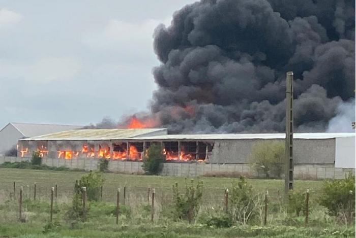 Incendiu puternic la un depozit de deşeuri din Techirghiol. Zeci de pompieri se luptă cu flăcările