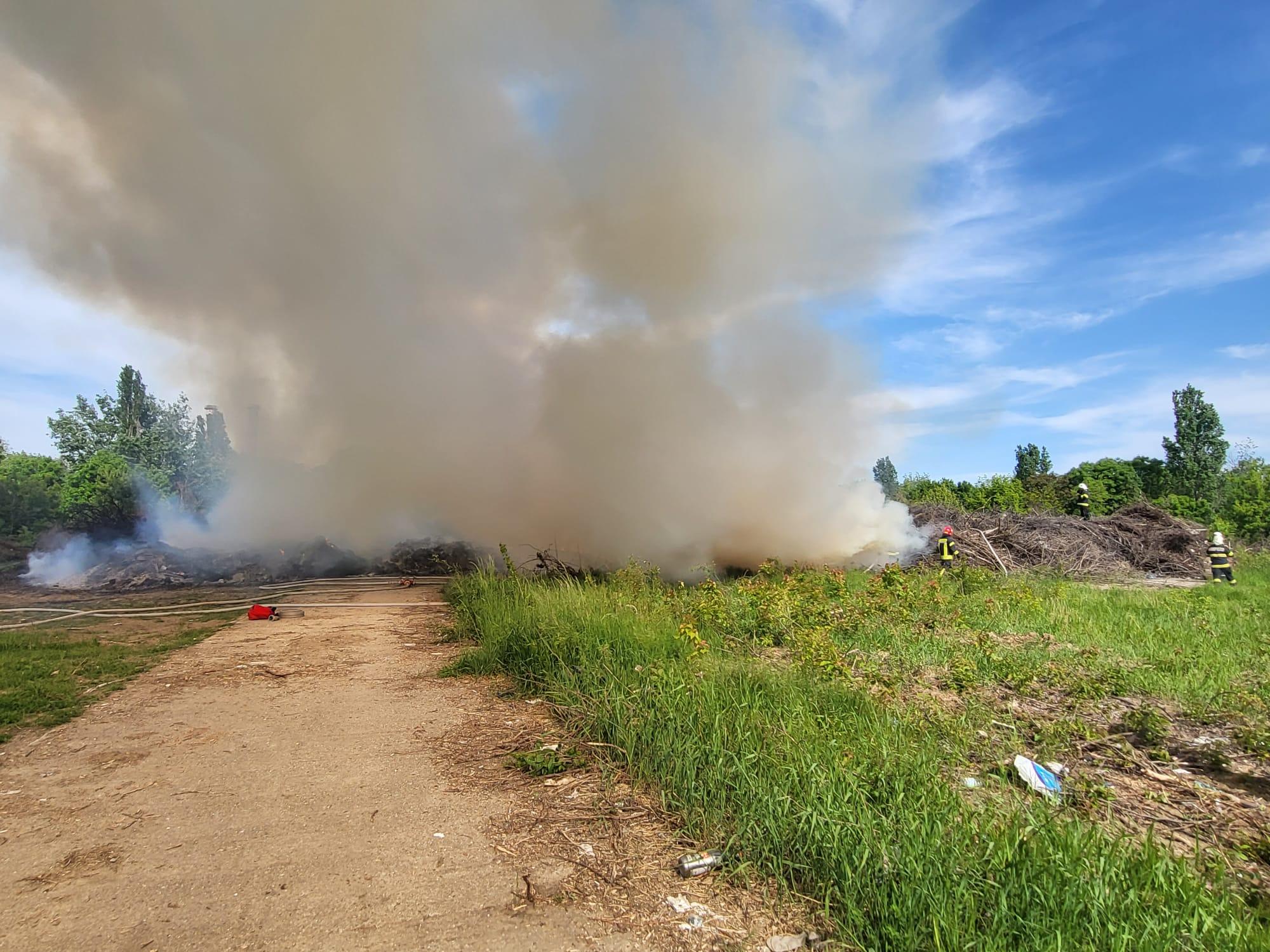 incendiu în Parcul Grozăvești din Capitală