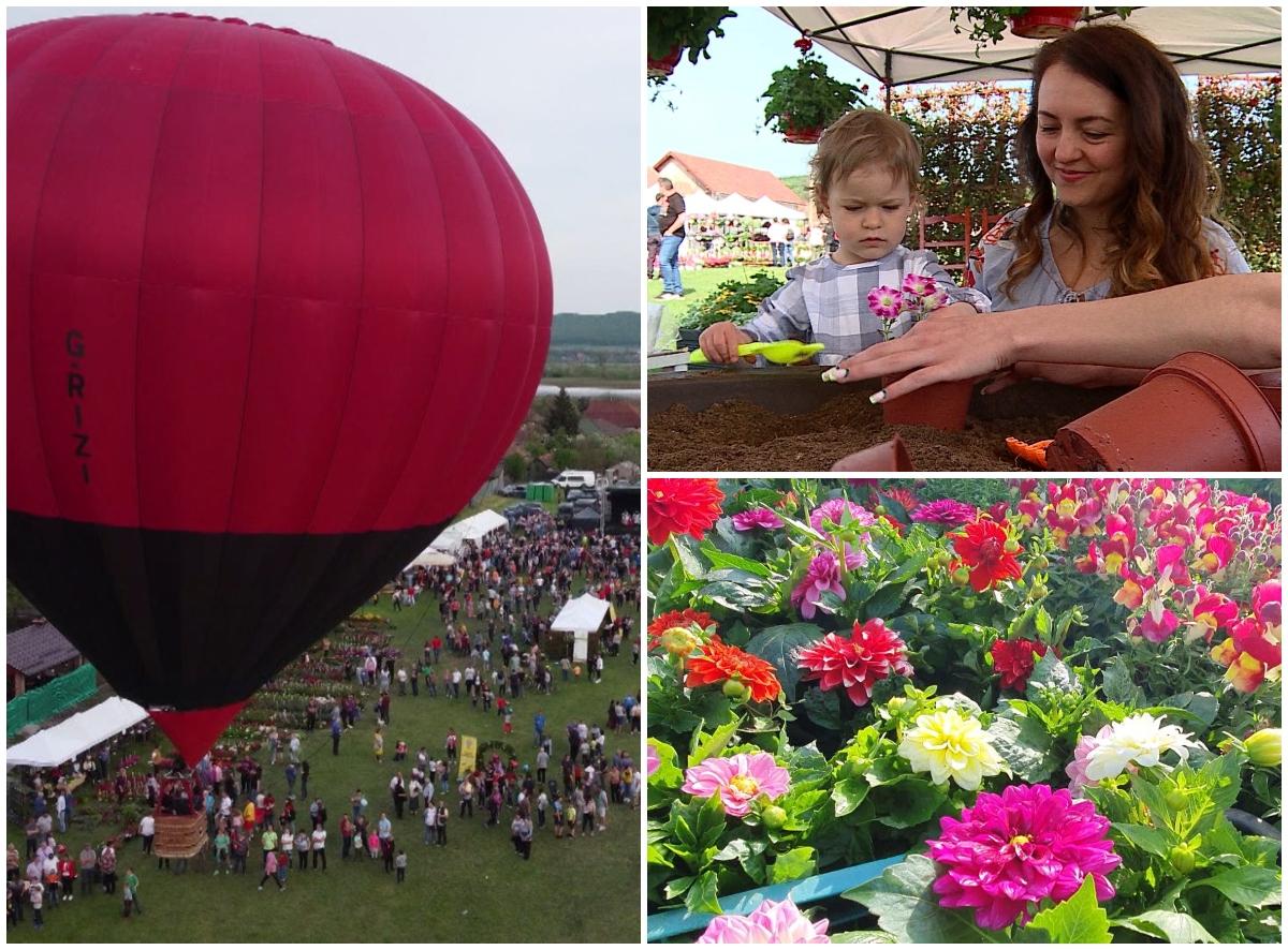 Expoziţie de flori în Curteni, judeţul Tg. Mureş
