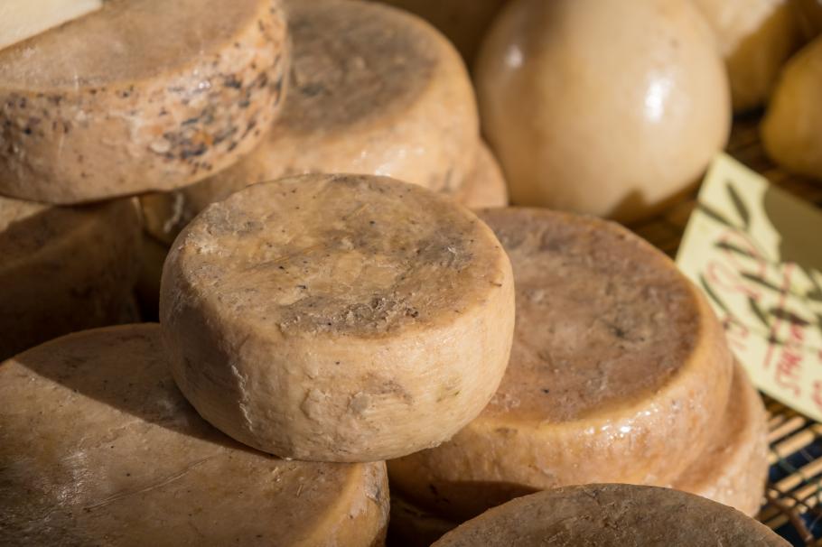 Brânza casu marzu, produsă în Sardinia Brânza casu marzu, produsă în Sardinia