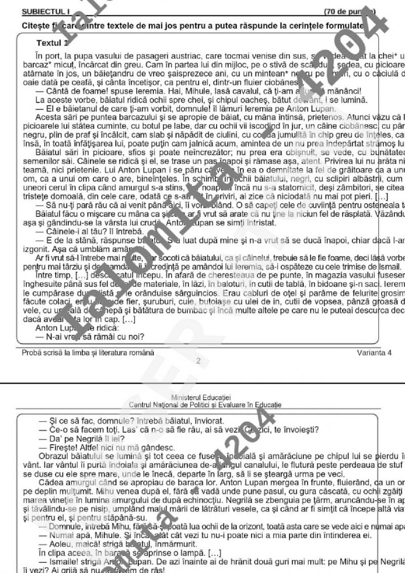 Subiectele la Evaluare Naţională 2022 - limba şi literatura română
