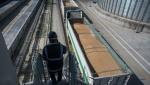Germania ajută România și Polonia să exporte cerealele din Ucraina înainte de noua recoltă