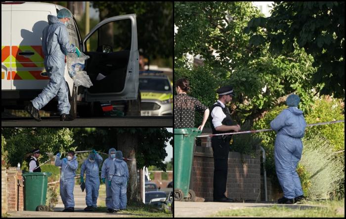 O mamă şi fiul ei de doar 5 ani, înjunghiaţi mortal în propria casă, în Londra. Vecinii nu au văzut nimic suspect
