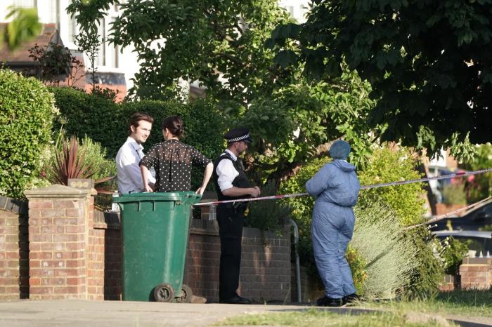 O mamă şi fiul ei de doar 5 ani, înjunghiaţi mortal în propria casă, în Londra. Vecinii nu au văzut nimic suspect
