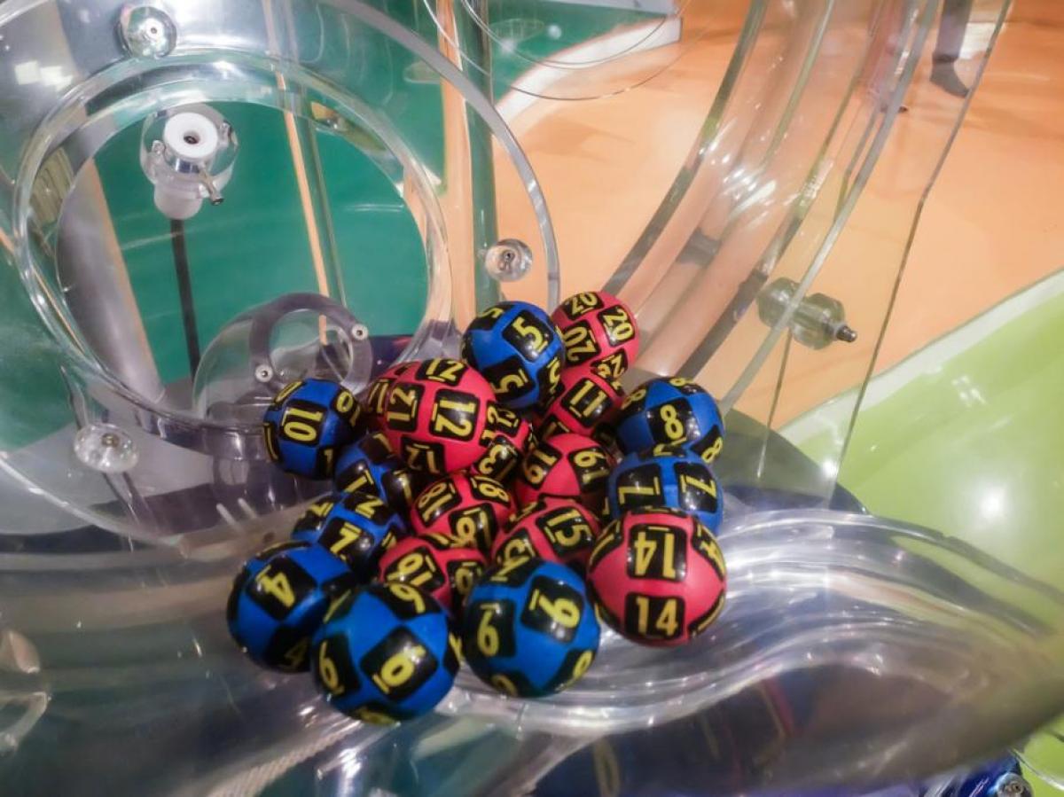 Loto numere loto