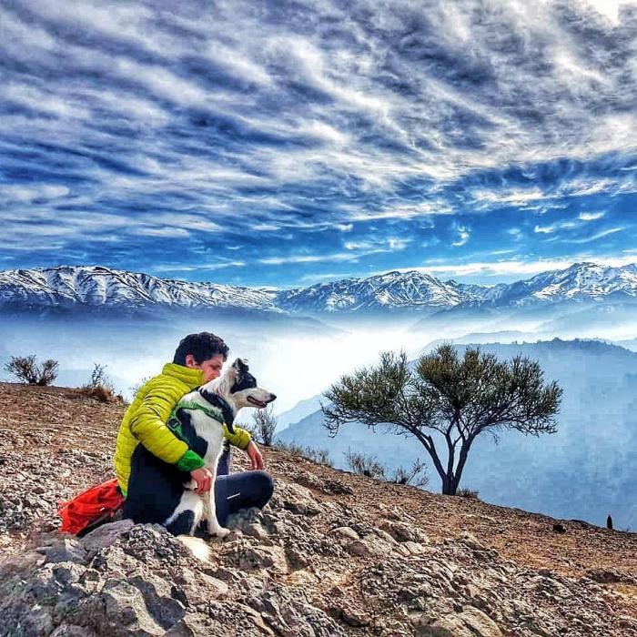 "Superputerea" unui câine din Chile. Îmbrăcat cu pelerina de erou, a devenit un model demn de urmat pentru oamenii de pretutindeni