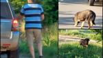 Bărbat amendat cu 12.000 de lei pentru că și-a abandonat câinele. "A deschis portbagajul, a scos un câine din sac şi i-a dat drumul"