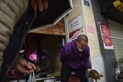 Bacteria care provoacă holera, depistată la un student din Wuhan şi la ţestoasele vândute în pieţele alimentare: "Învătaţi lecţia COVID"