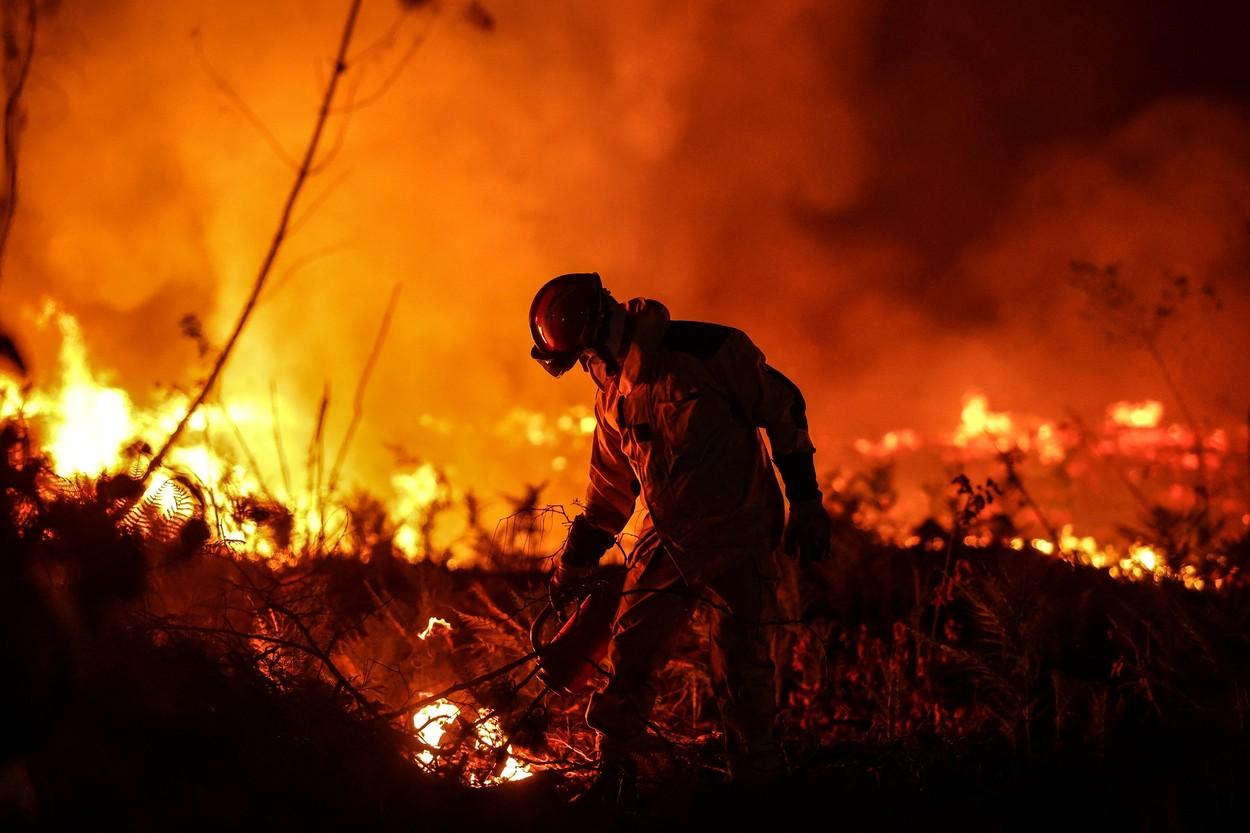 1000 de oameni au murit în Spania și Portugalia din cauza caniculei. Mii de pompieri se luptă cu incendiile: ”Nu am mai văzut așa ceva”