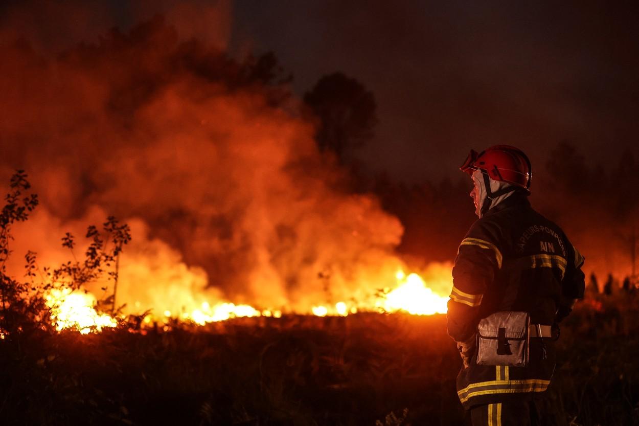 1000 de oameni au murit în Spania și Portugalia din cauza caniculei. Mii de pompieri se luptă cu incendiile: ”Nu am mai văzut așa ceva”