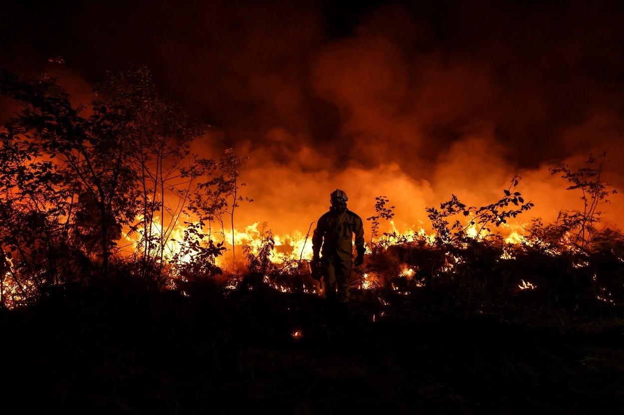 1000 de oameni au murit în Spania și Portugalia din cauza caniculei. Mii de pompieri se luptă cu incendiile: ”Nu am mai văzut așa ceva”