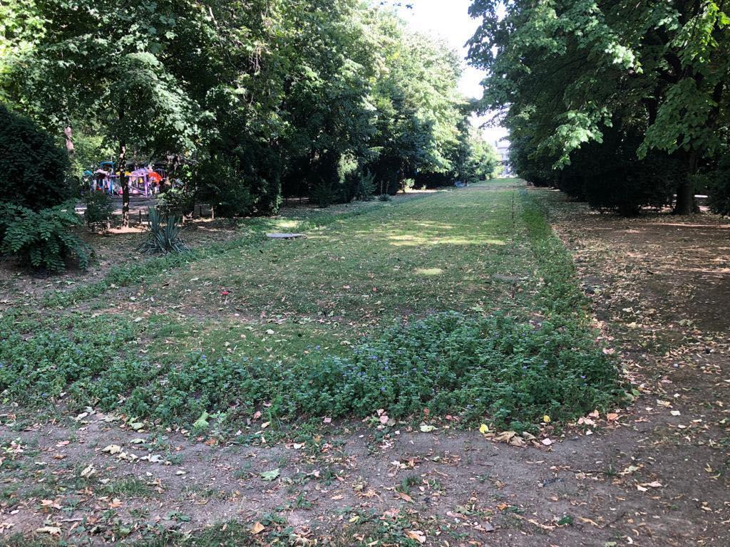 Parcul Cişmigiu din Bucureşti a ajuns să fie îngropat sub mizerie şi excremente de porumbei