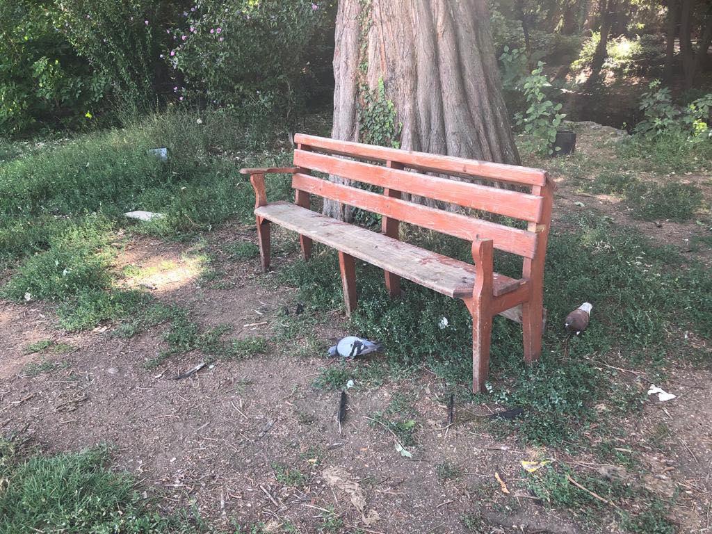 Parcul Cişmigiu din Bucureşti a ajuns să fie îngropat sub mizerie şi excremente de porumbei