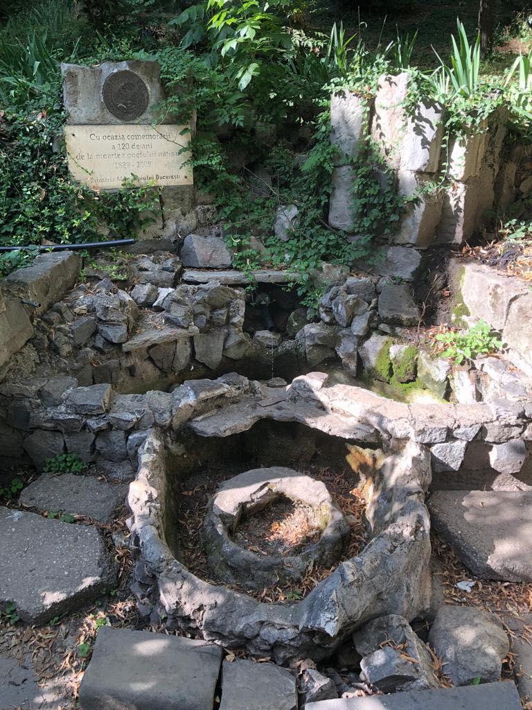 Parcul Cişmigiu din Bucureşti a ajuns să fie îngropat sub mizerie şi excremente de porumbei