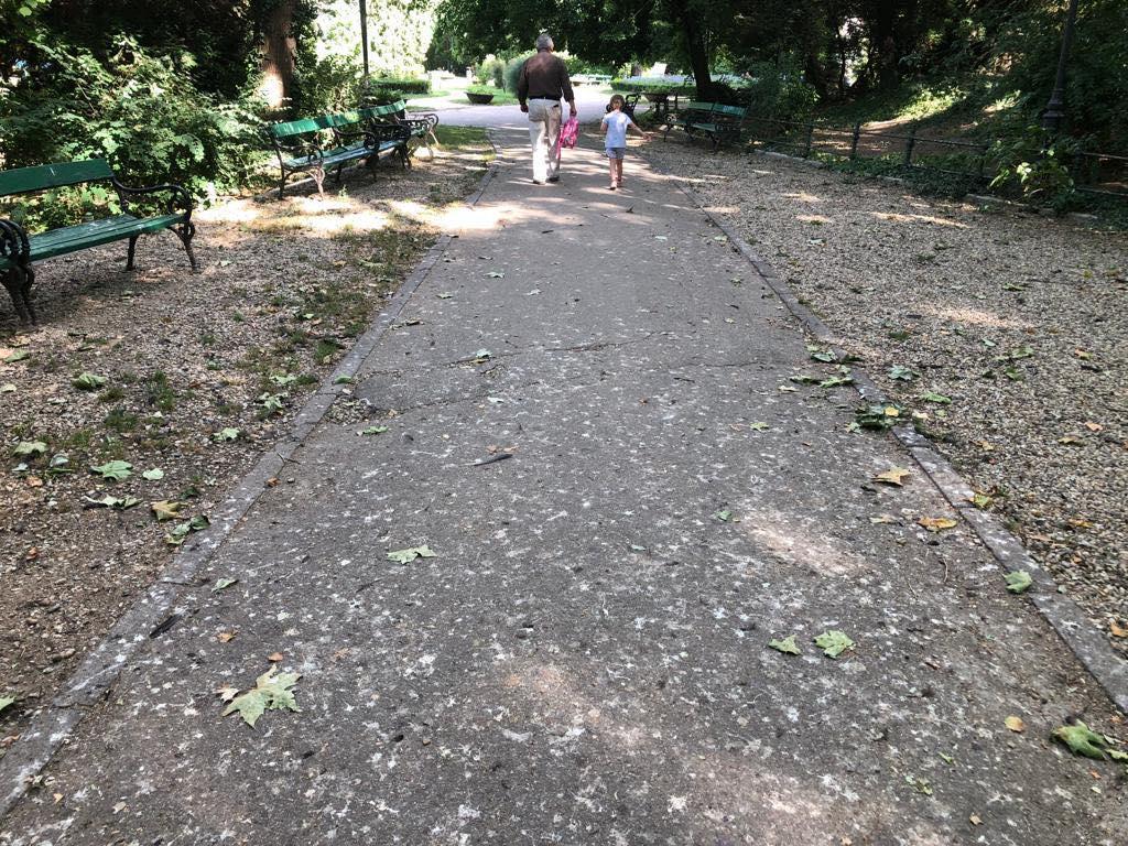 Parcul Cişmigiu din Bucureşti a ajuns să fie îngropat sub mizerie şi excremente de porumbei