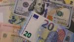 Leul s-a apreciat în raport cu euro şi dolarul american, dar a continuat să scadă faţă de francul elveţian. Curs valutar BNR 29 iulie 2022