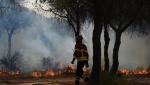 Incendiile se apropie de capitala Portugaliei. Peste 1.000 de pompieri au fost mobilizaţi