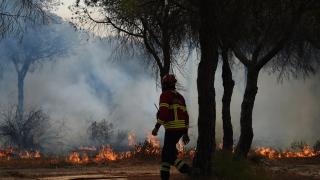Incendiile se apropie de capitala Portugaliei. Peste 1.000 de pompieri au fost mobilizaţi