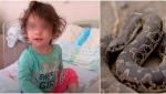 O copilă de 2 ani a ucis un șarpe care o atacase. Drept răzbunare că o mușcase de buză, fetița și-a înfipt dinții în reptilă, în grădina casei din Turcia