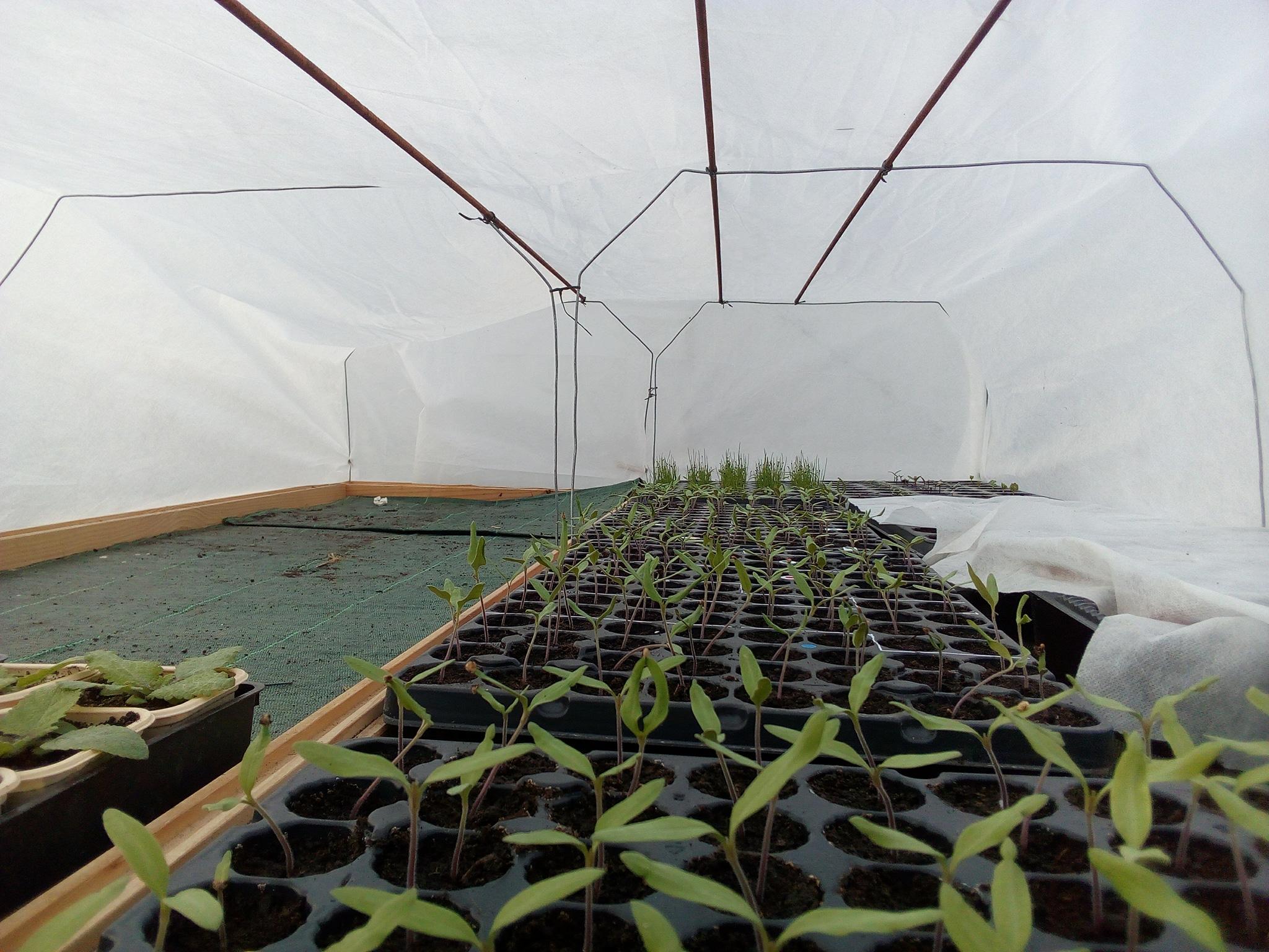 Ferma lui Cécile Messelis din Seillans, Franţa, înainte de secetă