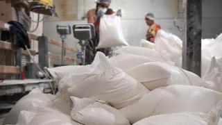 Producătorii de făină și de ulei vor primi un ajutor din partea statului "Ar fi binevenit şi pentru consumatorul final care ar putea să plătească un preţ mai mic"